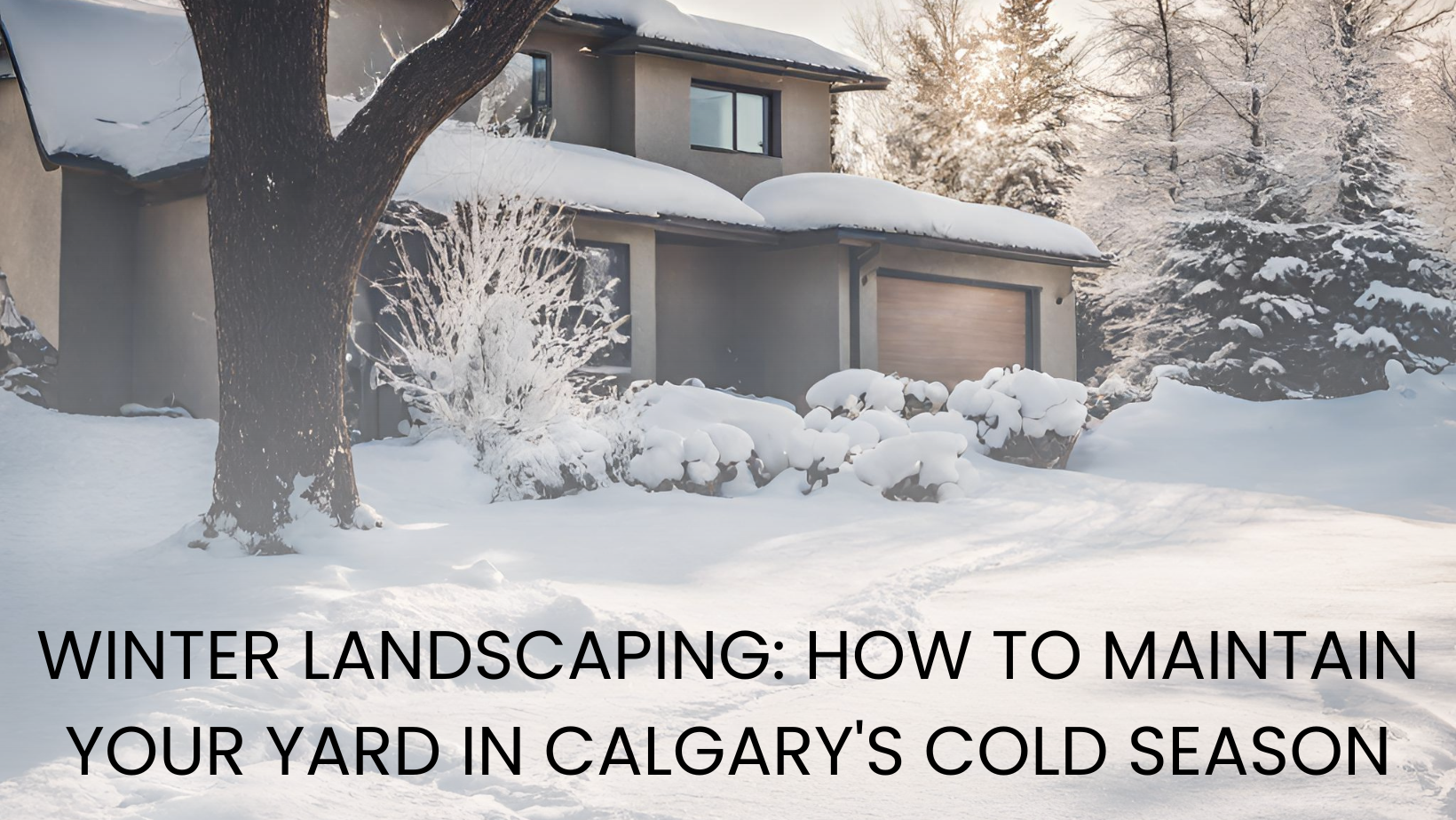 Calgary Winter Landscaping Tips